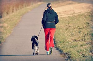 Read more about the article Prednosti trčanja sa psom