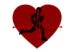 Read more about the article Maksimalan i ciljani broj otkucaja srca – kako da ih pravilno izračunate